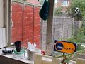 Wiewi�rki Bournemouth