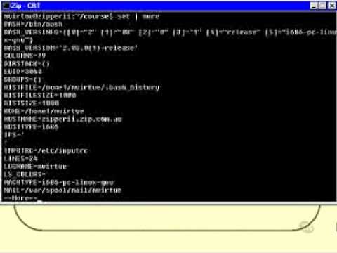 how to environment variable in linux