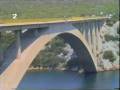 videos de Mucko Bungee