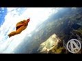 Adventures With Aviator - Wingsuit High Speed Passes... Super Chill Sundays.