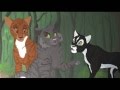 Warriors: The First Series