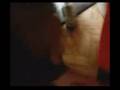 Hiiu Witch Project funny home video eng sub