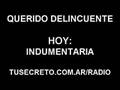 Querido-Delincuente-