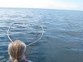 fangst stålhoved ørrede  hos Acadia,Michigan om stor søen...Lake Michigan