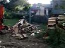 split wood