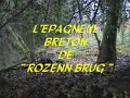 EPAGNEUL BRETON - Chasse à la Bécasse partie 1 sur 4