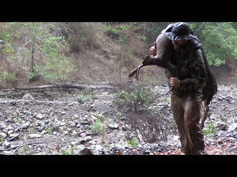 how to harvest deer