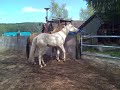 Missy & Benni 2