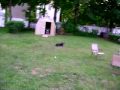 MOV00181