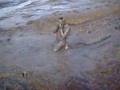 Mud-Slide-4