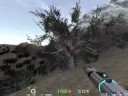 LOD forest