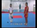 Mo Chunqian (???) - Traditional hardening exercises