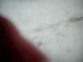 videos de 100 1037 xvid