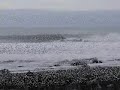Surfing the Wairarapa, New Zealand