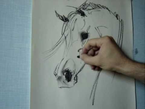 how to draw head of a horse