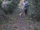Walkies in the Woods Walkies in the Woods