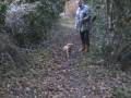 videos de Walkies in the Woods