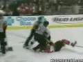 Huge Hockey Fight