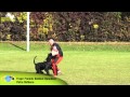 working-dog.eu Trailer of the Year 2011