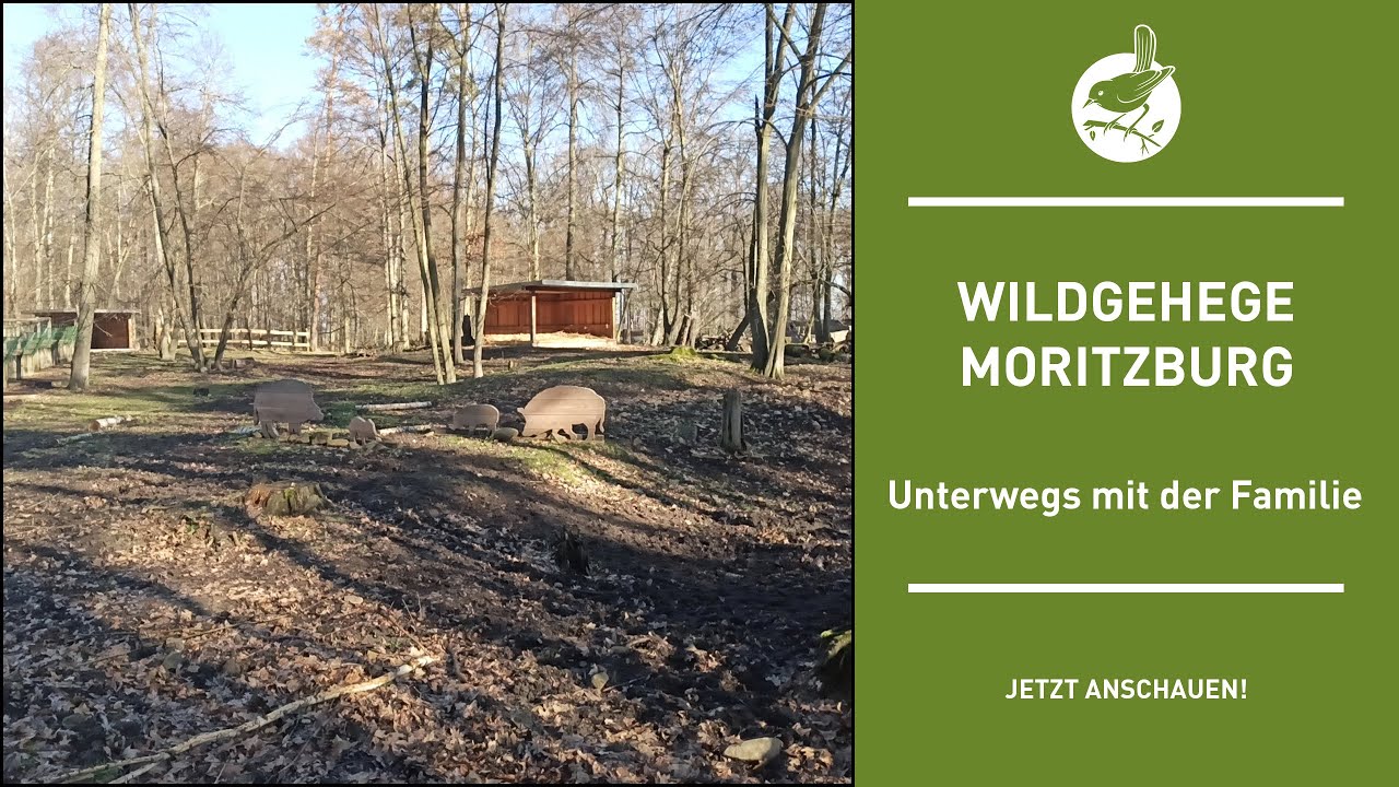 Unterwegs mit der Familie: Wildgehege Moritzburg