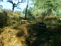 joao na sua ktm caliber