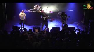 Les SVINKELS - Le Réveille Du Punk - Live - Grenoble - 29/04/16