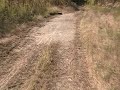 While there is not much left to see,...