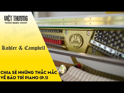 Những câu hỏi xung quanh về việc bảo trì đàn piano (Phần 1)