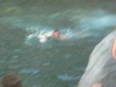 TuFfo PisCiNe NaTuRaLi