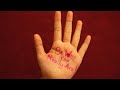 Remembrance Day Video