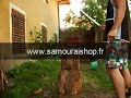 voila diff�rents tests de ce katana 