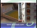 Tecna Srl Presentation