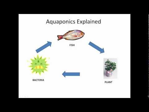 Watch 'Aquaponics Guide'