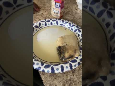 Uncle Bens - Package of rice contained some type of meat