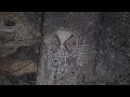 Paiute Indian Petroglyphs 