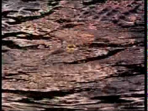Earth System Science