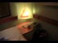 Carnival Cruise Lines Paradise Funship Stateroom