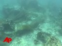 first person: trash persists at marine monument