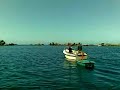 balade en mer ( phoque)