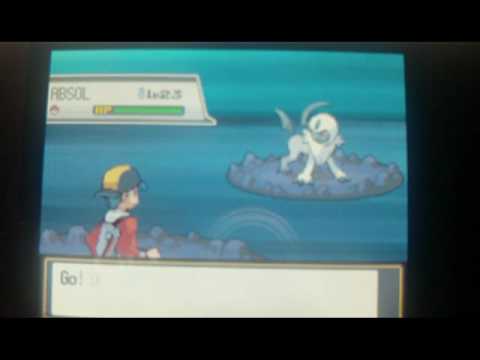absol
