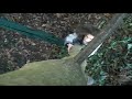 Le Chevelu sauvage des bois