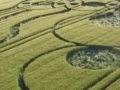 Dibujo de una Medusa en un Campo de Inglaterra - Ovnis - «Misterios»