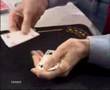 Juan Tamariz El Famoso Juego de las 4 Cartas Azules