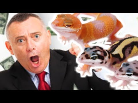 YouTube reptile video
