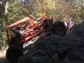 videos de Dixie run 2008
