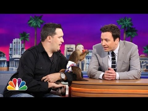 YouTube reptile video