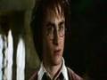 Harry's Cruzade