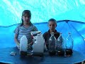Cassandra & Joshua\ Cassandra & Joshua\