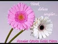 ANNEM D?Z? M�Z?G?
