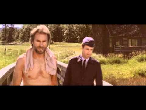 the wolverine